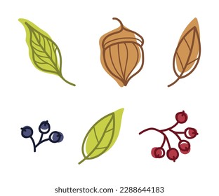 Bright Autumn Foliage with Different Leaf Color Vector Set