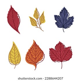 Bright Autumn Foliage with Different Leaf Color Vector Set
