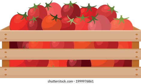 A bright autumn illustration depicting a wooden box with red ripe tomatoes. The harvested crop of fresh tomatoes in a wooden box. Vegetables in a box. Vector illustration on a white background