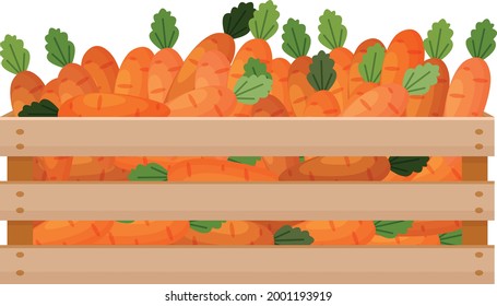 A bright autumn illustration with the image of a wooden box with carrots. The harvested crop of fresh carrots in a wooden box. Vegetables are in the drawer. Vector illustration on a white background