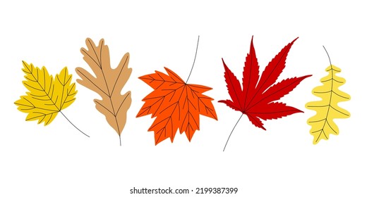 Eine helle Herbstillustration verschiedener Laubarten. Flache florale Vektorklammer-Kunst. Herbstsymbolen sind eine Vektorgrafik einzeln auf weißem Hintergrund.