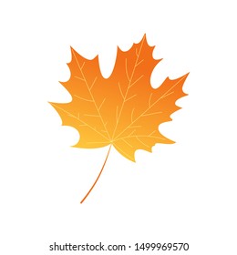 Bright autumn leaf. Cartoon style. Vector design.