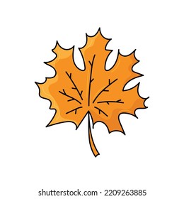 Bright autumn leaf. Cartoon style. Vector design on white. Hand drawn icon