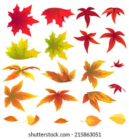 Bright autumn leaves isolated on white background