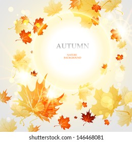 Bright autumn leaves light background with space for text
