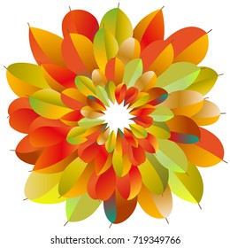 bright autumn leaves on white background