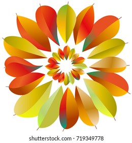 bright autumn leaves on white background