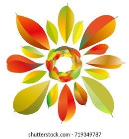 bright autumn leaves on white background