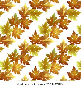 Bright autumn leaves in a pattern.Colored vector pattern with autumn leaves on a transparent background.