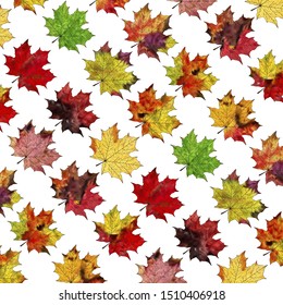 Bright autumn leaves seamless pattern. Brown, red and yellow foliage background vector illustration.