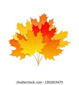 Bright autumn maple leaf bouquet. Cartoon style. Vector design.