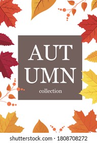 Bright autumn maple leaves. Autumn card with leaves for buying a sale banner poster or leaflet. There are spaces for your text on the white area. Vector