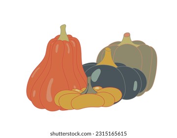 Bright autumn pumpkins. Autumn. Vector illustration