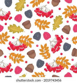 A bright autumn seamless pattern with the image of autumn yellowed oak and mountain ash leaves,ripe raspberries, acorns and mountain ash. Autumn pattern for the print. Vector illustration