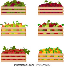 A bright autumn set consisting of wooden boxes with ripe juicy fruits, such as grapes, cherries,pears and apples, strawberries, oranges . Vector illustration isolated on white background.