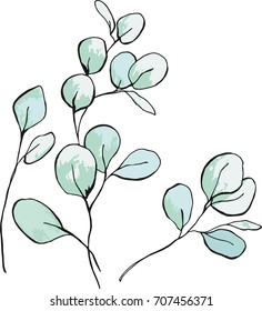 Bright azure in the leaves of eucalyptus
