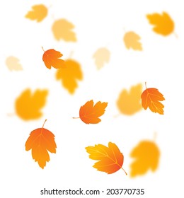 Heller Hintergrund, Herbstblätter