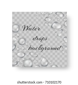 Bright background for a brochure or banner in an ecological style with sparkling drops of water