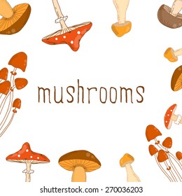Bright background with different mushrooms