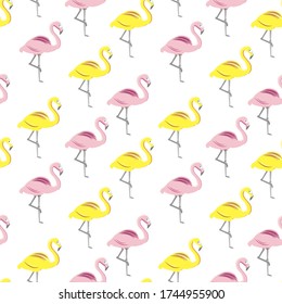 Fondo brillante con flamingos.Ilustración vectorial