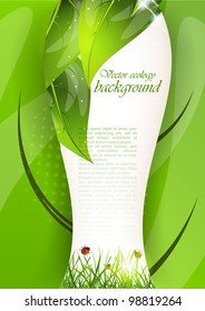 Bright background with green leaves and grass