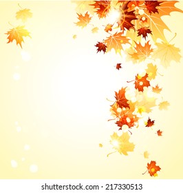 Heller Hintergrund mit Ahornherbstblättern. Ort für Text