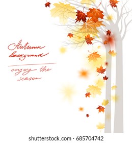 Bright background with maple autumn maple leaves. Silhouette of tree trunks and falling leaves. Place for text
