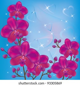 Bright background with purple orchids and decorations.