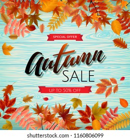 Bright banner for autumn sale