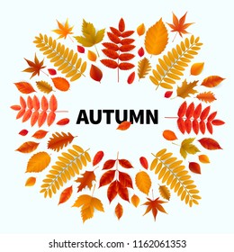 Bright banner for autumn sale in frame from leaves. Vector illustration.
