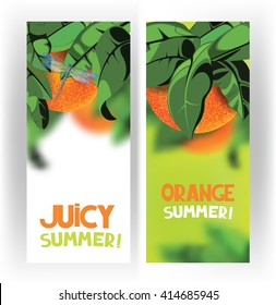 Bright banners with oranges on the tree with green leaves on the white background