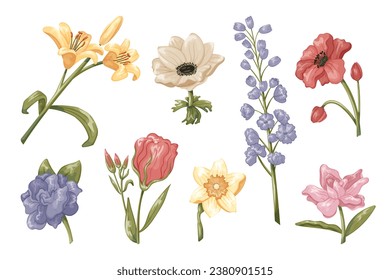 Bright beautiful blooming buds with petals and green leaves. Set of vector isolated cartoon flowers rose, anemone, lily, narcissus.