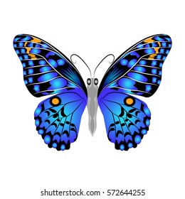 Bright beautiful blue butterfly. Vector illustration isolated on white background.