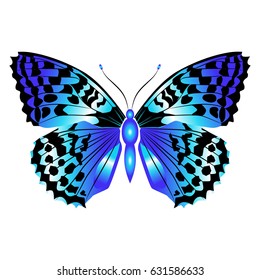 Bright beautiful blue butterfly. Vector illustration isolated on white background.