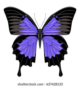 Bright beautiful blue butterfly. Vector illustration isolated on white background.