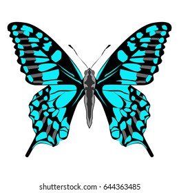Bright beautiful blue butterfly. Vector illustration isolated on white background.