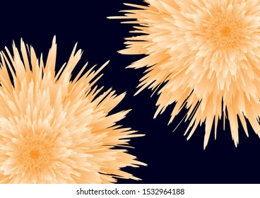 Bright beautiful bud of a peony, aster on a black background. Elegant flower close-up. Botanical vector for banner, card, invitation, textile, fabric. Vector illustration.