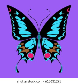 Bright beautiful butterfly. Vector illustration isolated on purple background.
