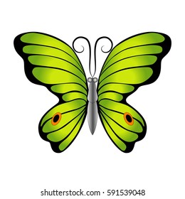 Bright beautiful decorative green butterfly. Vector illustration isolated on white background.