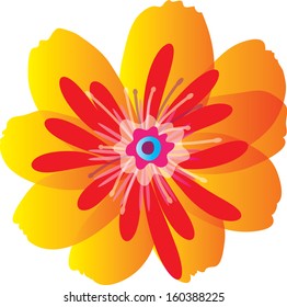 Bright beautiful flower. Vector illustration