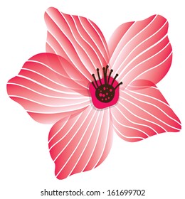 Bright beautiful flower. Vector illustration 