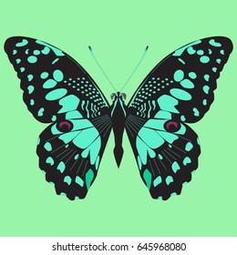 Bright beautiful green butterfly. Vector illustration isolated on green background.