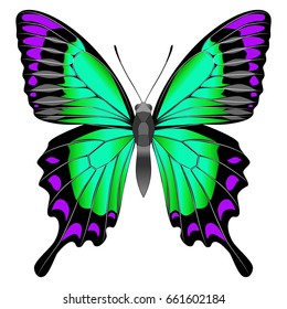 Bright beautiful green butterfly. Vector illustration isolated on white background.
