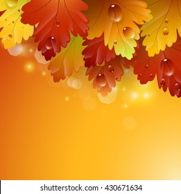 Bright beautiful leaves with autumnal abstract backgrounds.Vector