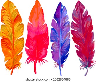 bright beautiful multicolored feathers on white background
