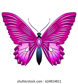 Bright beautiful pink butterfly. Vector illustration isolated on white background.