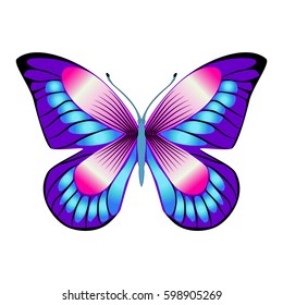 Bright beautiful purple butterfly. Vector illustration isolated on white background.