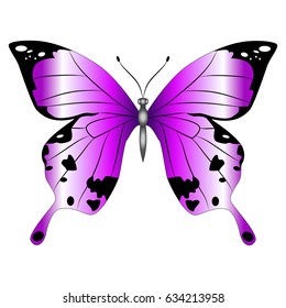 Bright beautiful purple butterfly. Vector illustration isolated on white background.