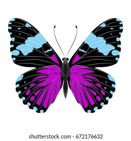 Bright beautiful purple butterfly. Vector illustration isolated on white background.