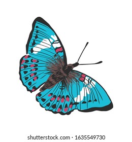 bright beautiful realistic butterfly, vector illustration